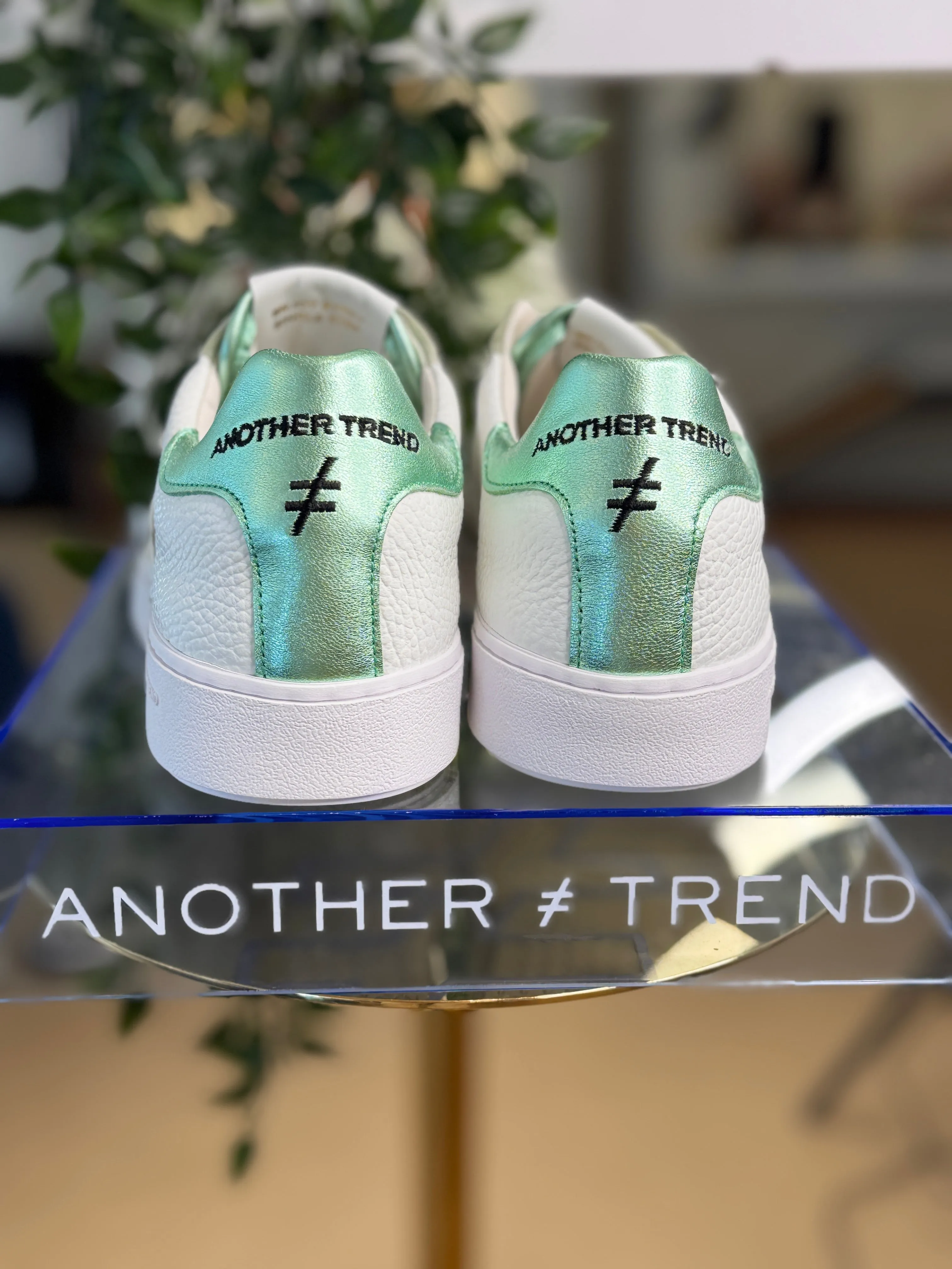 Another Trend  Rosanna Trainer