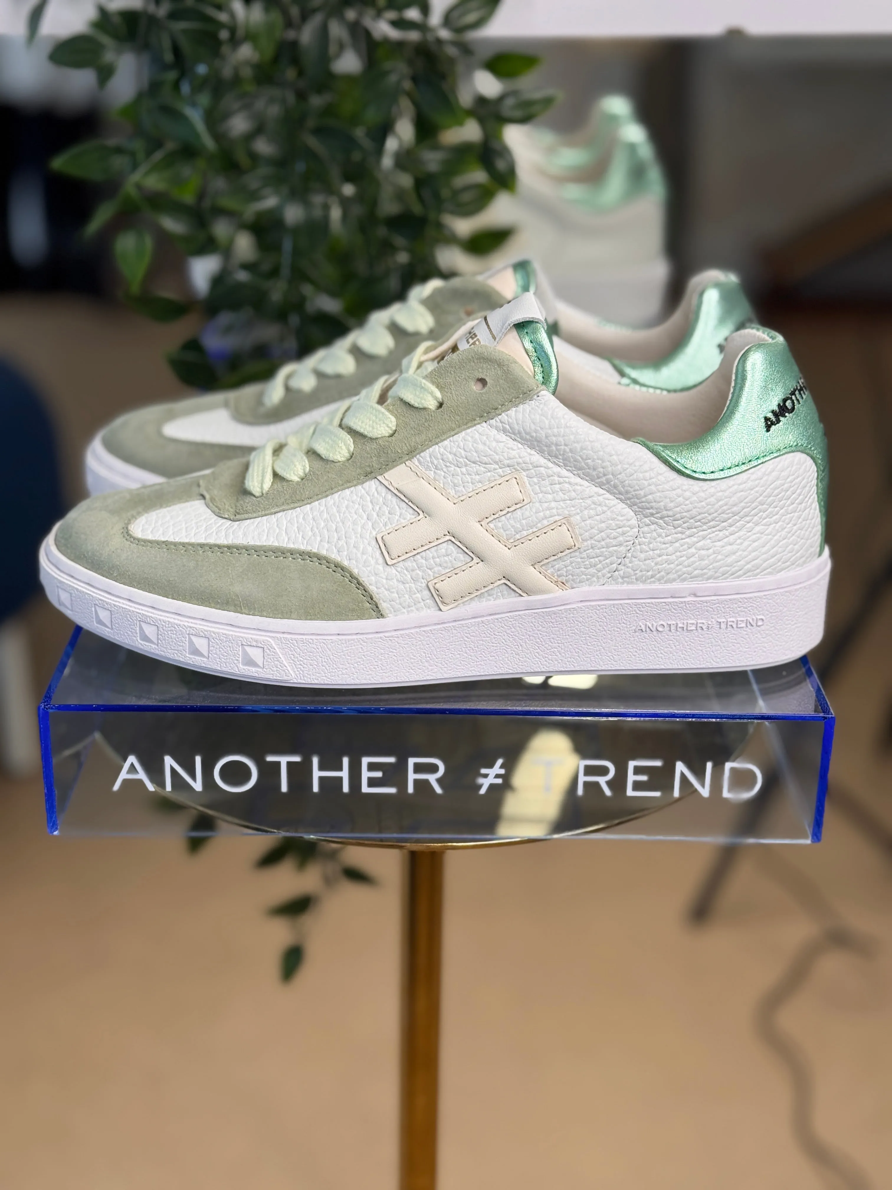Another Trend  Rosanna Trainer