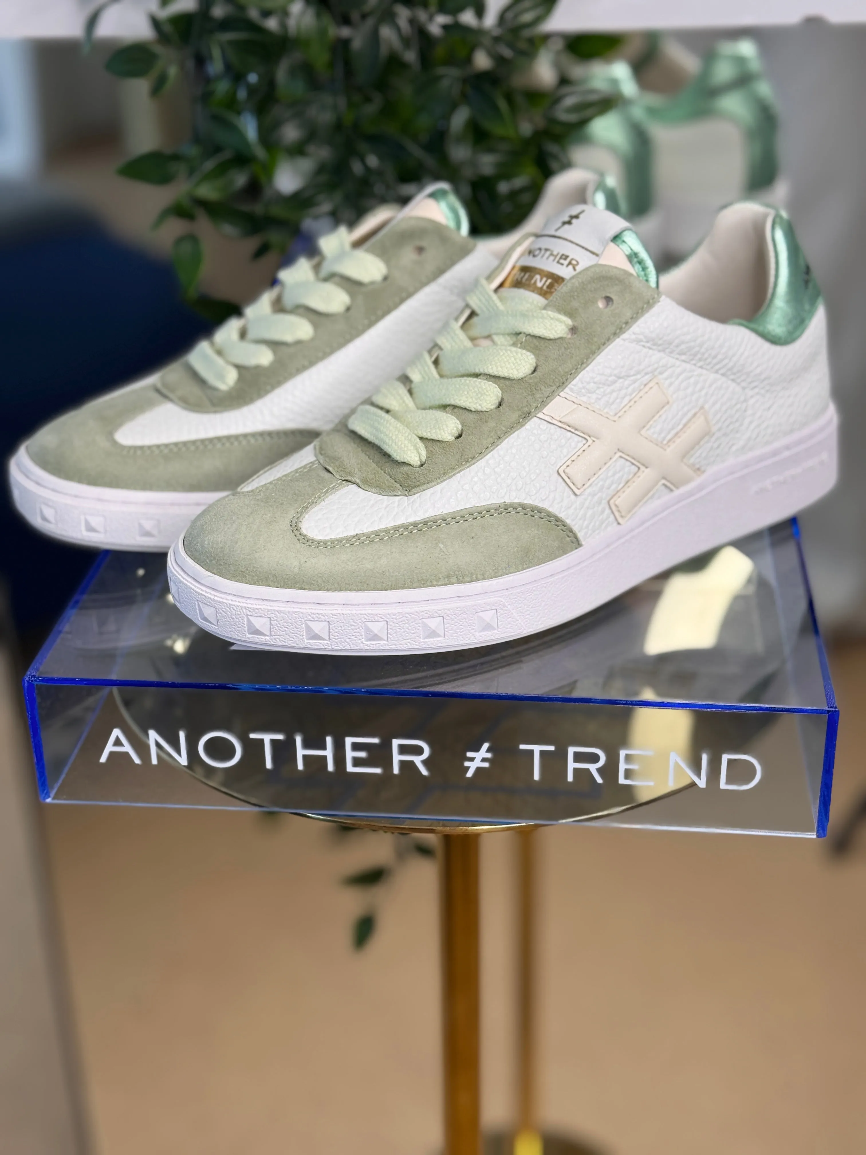 Another Trend  Rosanna Trainer