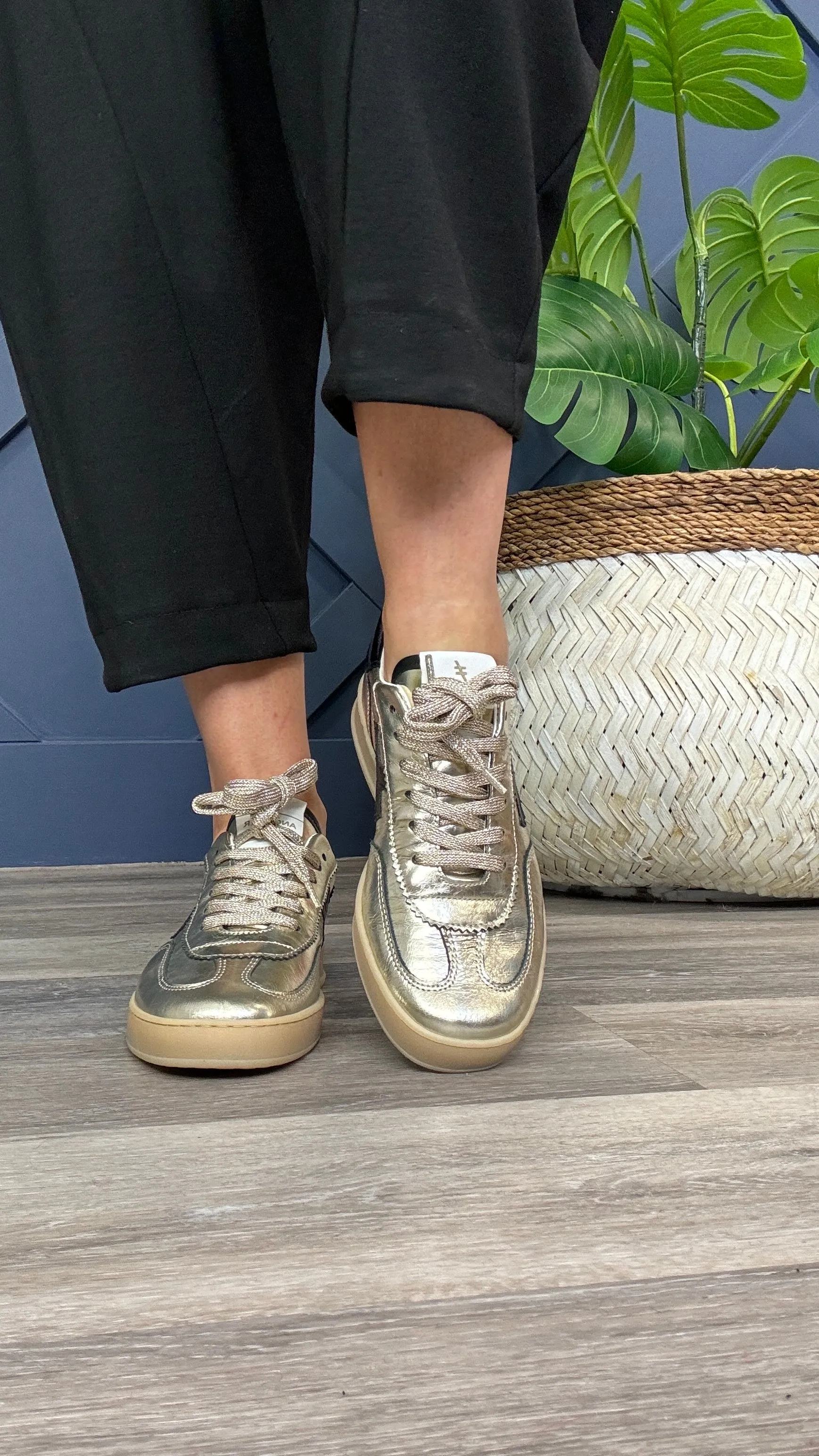 Another Trend  Rosanna Trainer