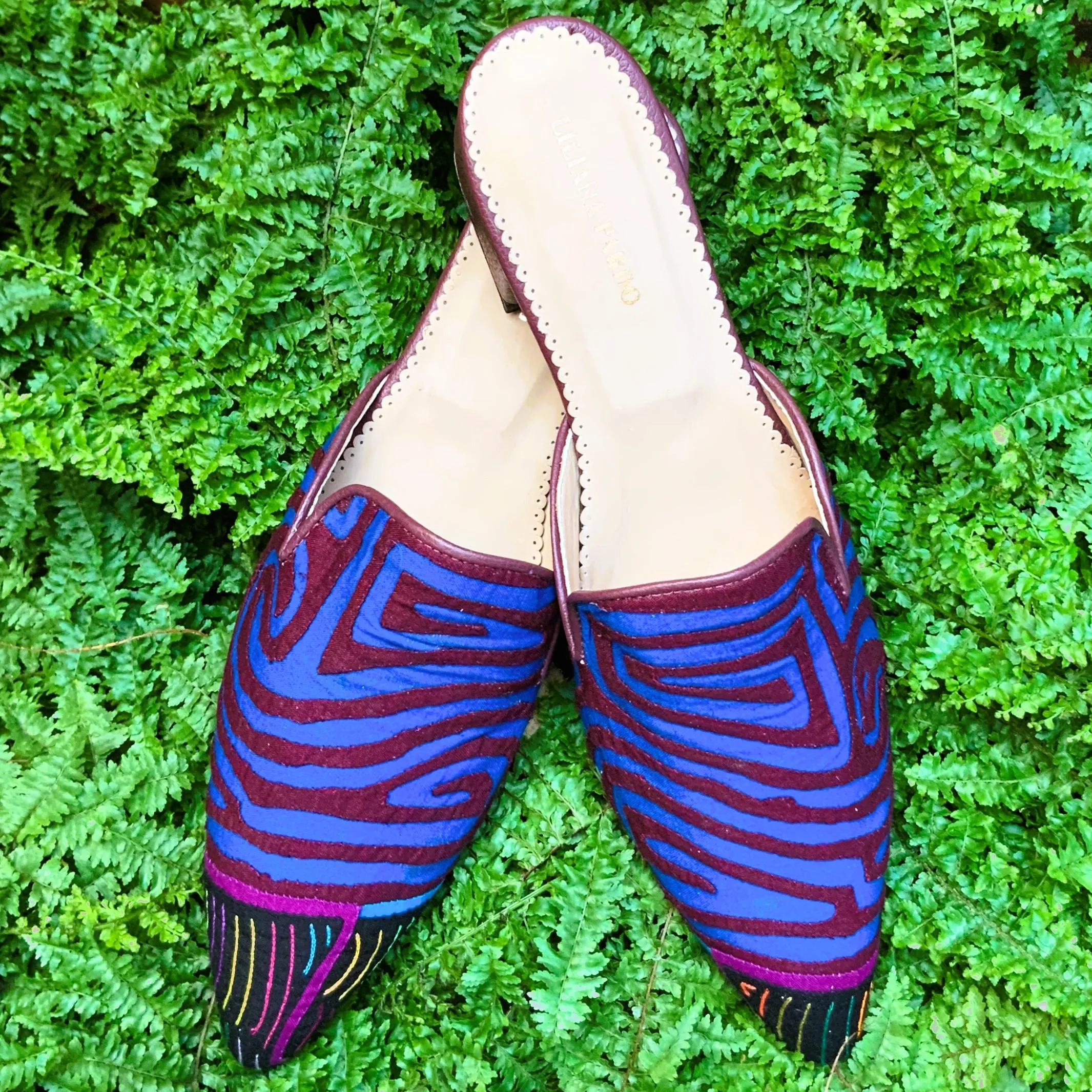Mola Mule Wine | Blue